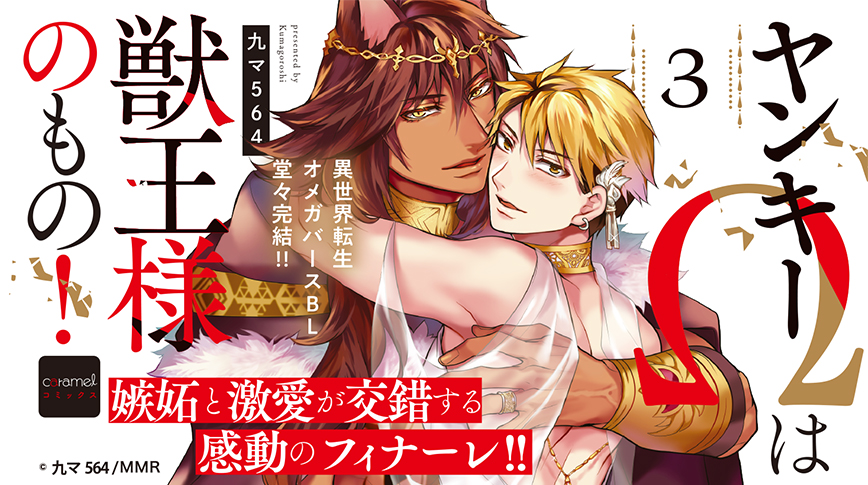 「ヤンキーΩは獣王様のもの！3巻」／九マ564