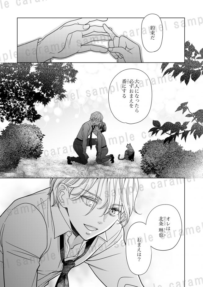 偽恋オメガ~運命のアルファに片想い なつはづき