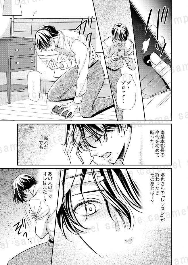 偽恋オメガ～運命のアルファに片想い なつはづき