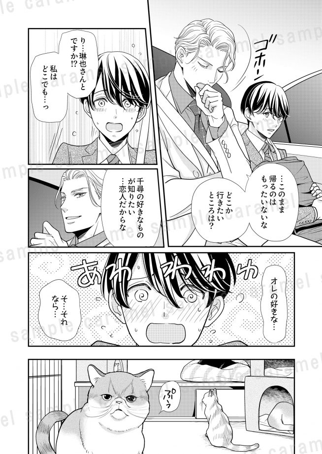 偽恋オメガ～運命のアルファに片想い なつはづき