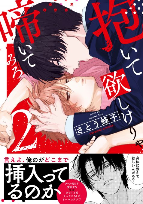 抱いて欲しけりゃ啼いてみろ２ さとう蜂子