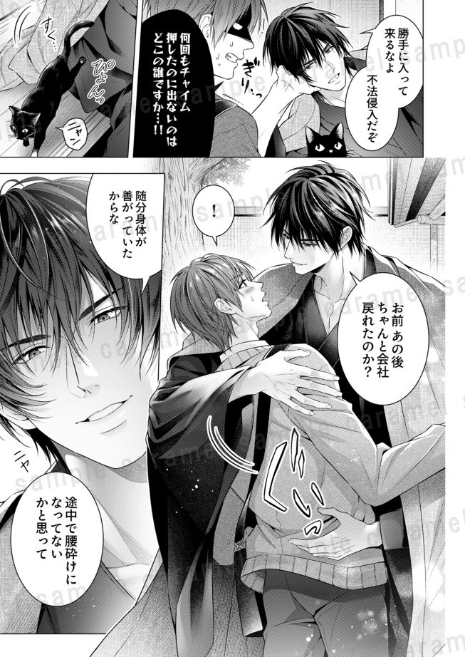 偏愛小説家のポルノロマンス 雨森シオン