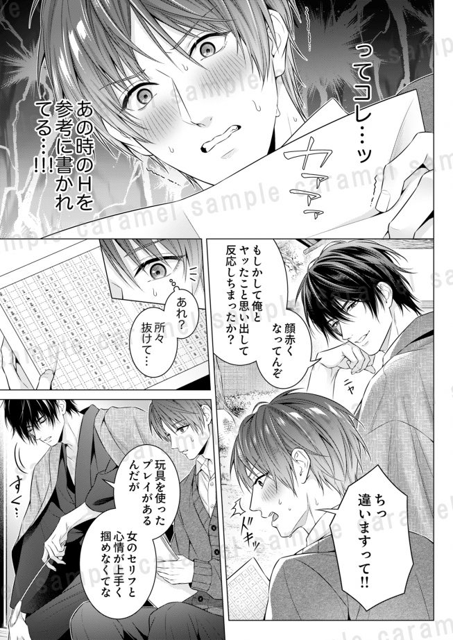 偏愛小説家のポルノロマンス 雨森シオン
