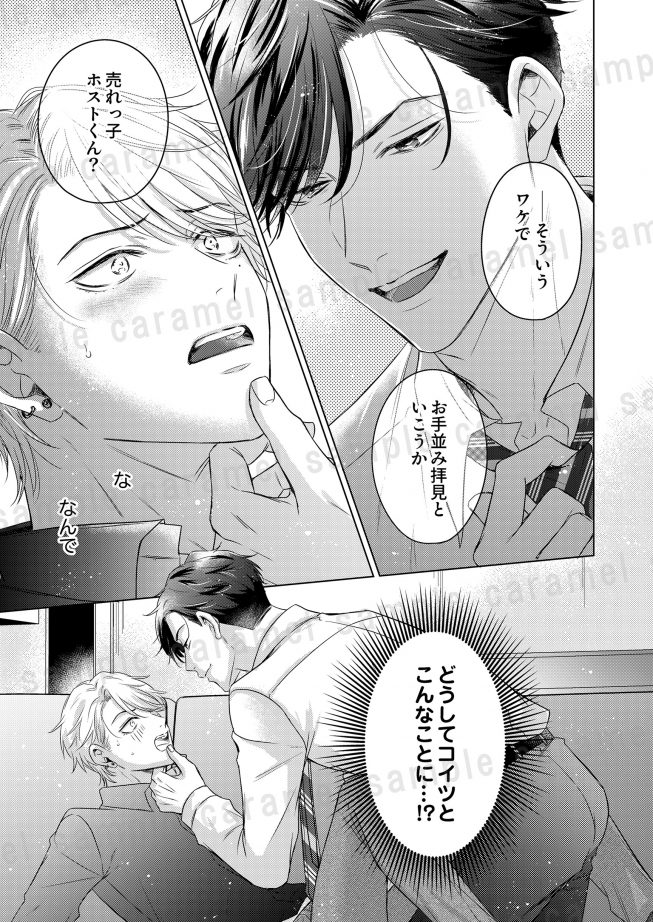 腹黒弁護士の超絶テクがヤバすぎる～接待のご指名は俺!? 真田あかり