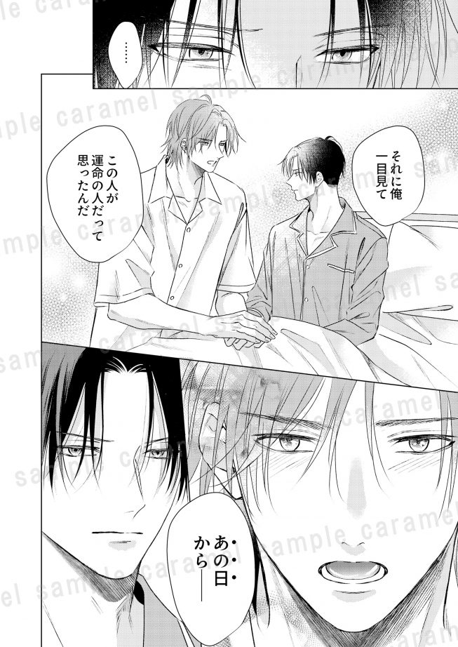 極道オメガの子作り婚 駒鳥 ぴた